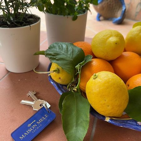 Maison Mele Ischia Zewnętrze zdjęcie