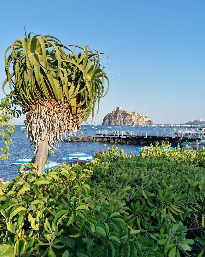 Maison Mele Ischia Zewnętrze zdjęcie