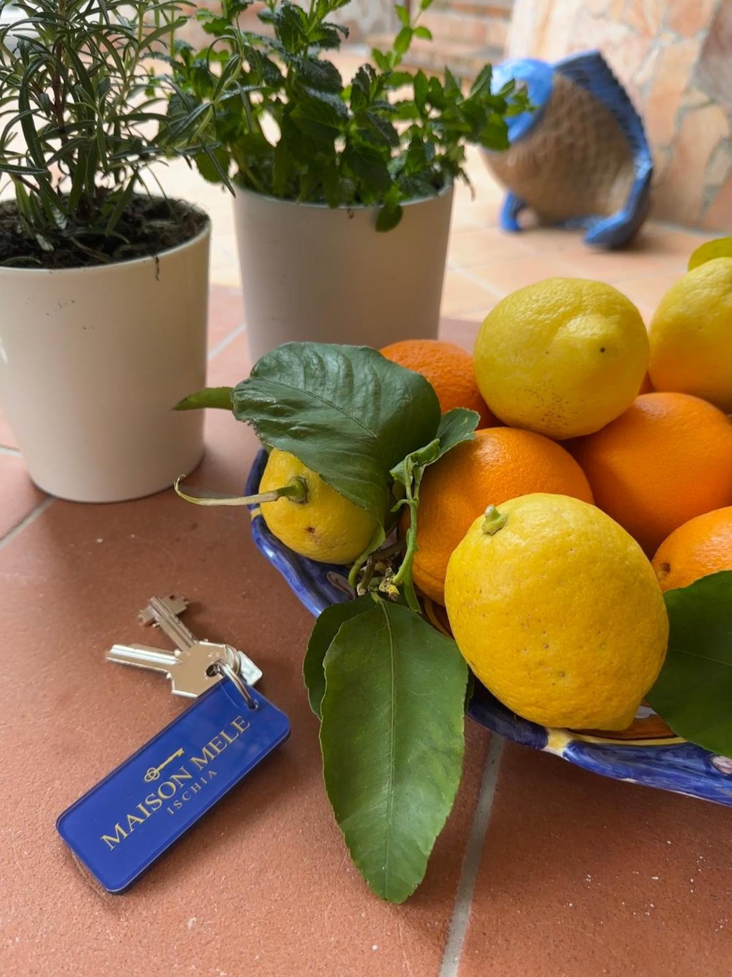 Maison Mele Ischia Zewnętrze zdjęcie